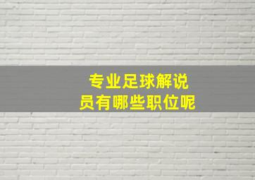 专业足球解说员有哪些职位呢