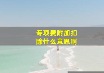 专项费附加扣除什么意思啊