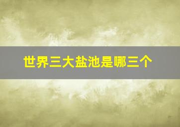 世界三大盐池是哪三个