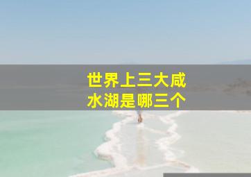 世界上三大咸水湖是哪三个