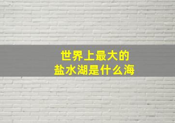 世界上最大的盐水湖是什么海