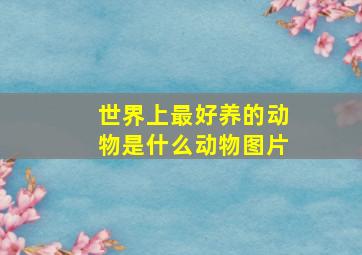 世界上最好养的动物是什么动物图片