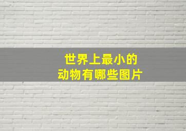 世界上最小的动物有哪些图片