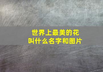 世界上最美的花叫什么名字和图片