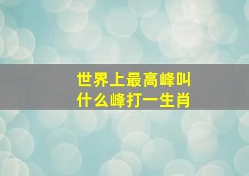 世界上最高峰叫什么峰打一生肖