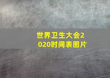 世界卫生大会2020时间表图片