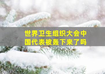 世界卫生组织大会中国代表被轰下来了吗