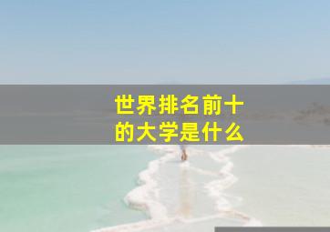 世界排名前十的大学是什么