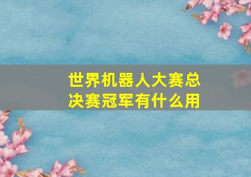 世界机器人大赛总决赛冠军有什么用