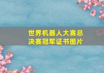 世界机器人大赛总决赛冠军证书图片