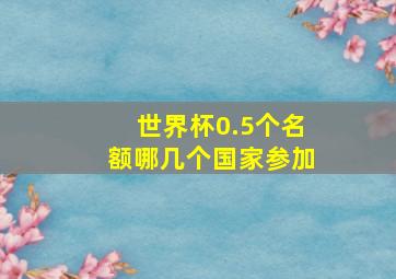 世界杯0.5个名额哪几个国家参加