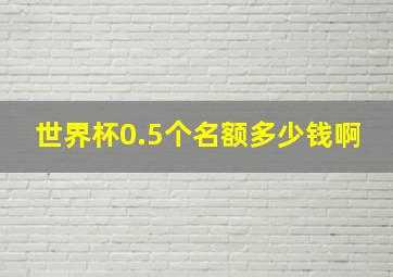 世界杯0.5个名额多少钱啊