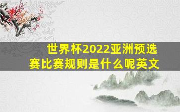 世界杯2022亚洲预选赛比赛规则是什么呢英文