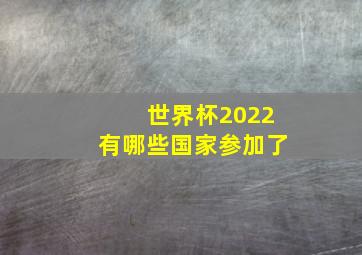 世界杯2022有哪些国家参加了