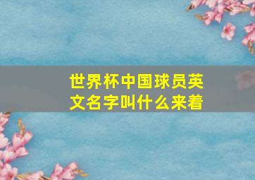 世界杯中国球员英文名字叫什么来着