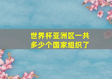 世界杯亚洲区一共多少个国家组织了