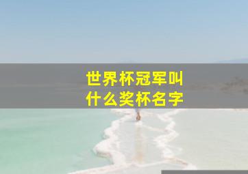 世界杯冠军叫什么奖杯名字