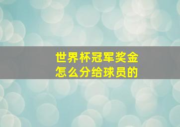 世界杯冠军奖金怎么分给球员的