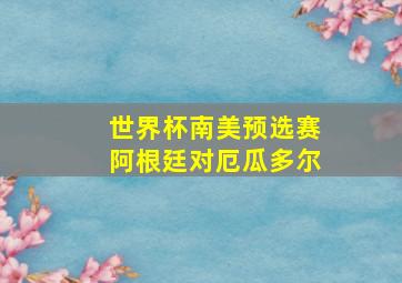 世界杯南美预选赛阿根廷对厄瓜多尔