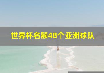 世界杯名额48个亚洲球队