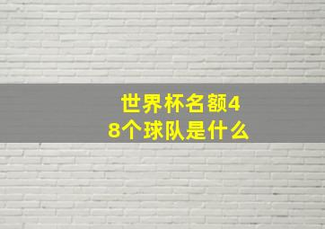 世界杯名额48个球队是什么