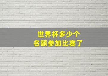 世界杯多少个名额参加比赛了