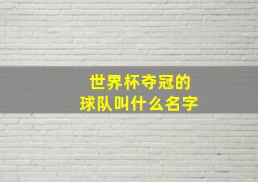 世界杯夺冠的球队叫什么名字