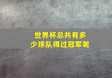 世界杯总共有多少球队得过冠军呢