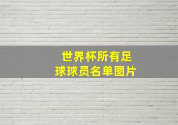 世界杯所有足球球员名单图片