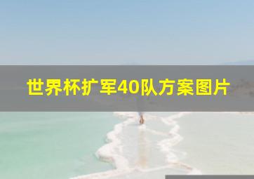 世界杯扩军40队方案图片