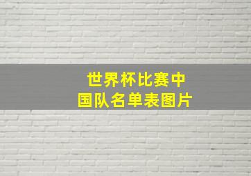 世界杯比赛中国队名单表图片