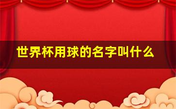 世界杯用球的名字叫什么