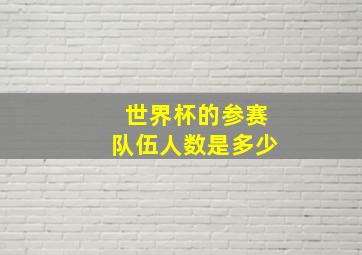 世界杯的参赛队伍人数是多少