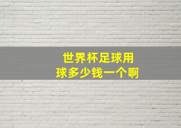 世界杯足球用球多少钱一个啊