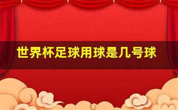 世界杯足球用球是几号球