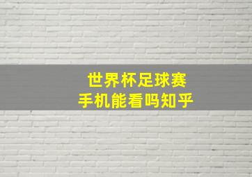 世界杯足球赛手机能看吗知乎