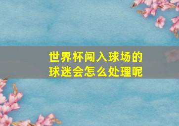 世界杯闯入球场的球迷会怎么处理呢