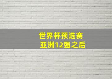 世界杯预选赛亚洲12强之后