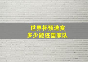 世界杯预选赛多少能进国家队