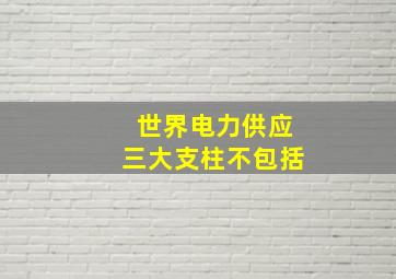 世界电力供应三大支柱不包括