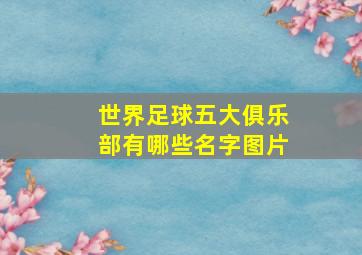 世界足球五大俱乐部有哪些名字图片