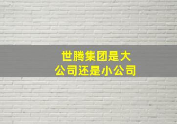 世腾集团是大公司还是小公司