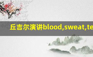 丘吉尔演讲blood,sweat,tears