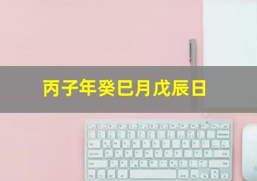 丙子年癸巳月戊辰日