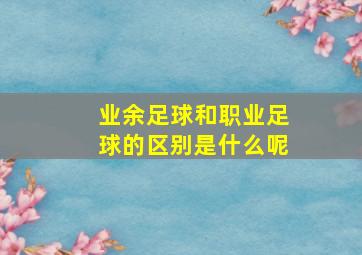 业余足球和职业足球的区别是什么呢