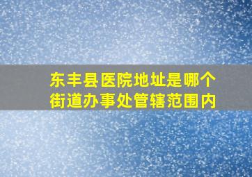 东丰县医院地址是哪个街道办事处管辖范围内