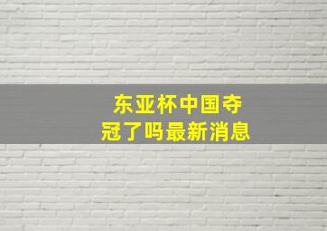 东亚杯中国夺冠了吗最新消息