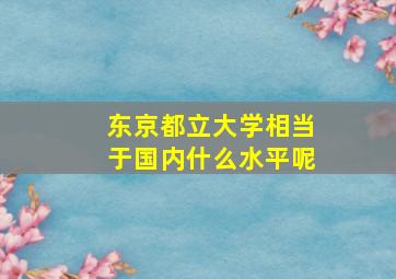 东京都立大学相当于国内什么水平呢