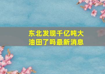 东北发现千亿吨大油田了吗最新消息