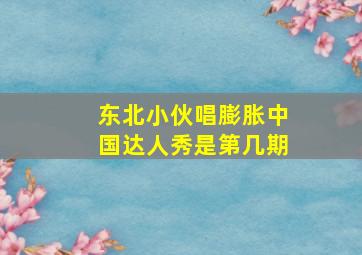 东北小伙唱膨胀中国达人秀是第几期